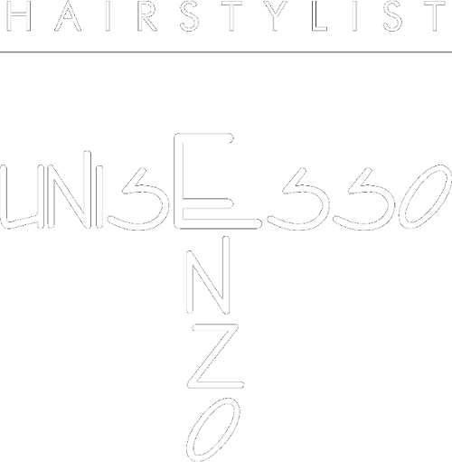 logo Enzo start Kleiner